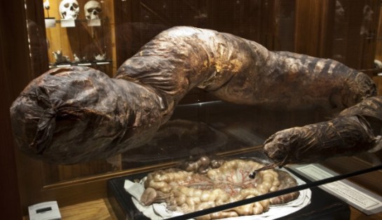 Photo courtesy of RoadTrippers.com